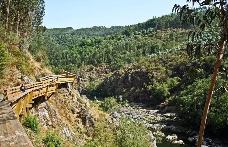 Paisagem dos Passadiços do Rio Paiva, com muitas árvores, o rio no meio, e o passadiço.